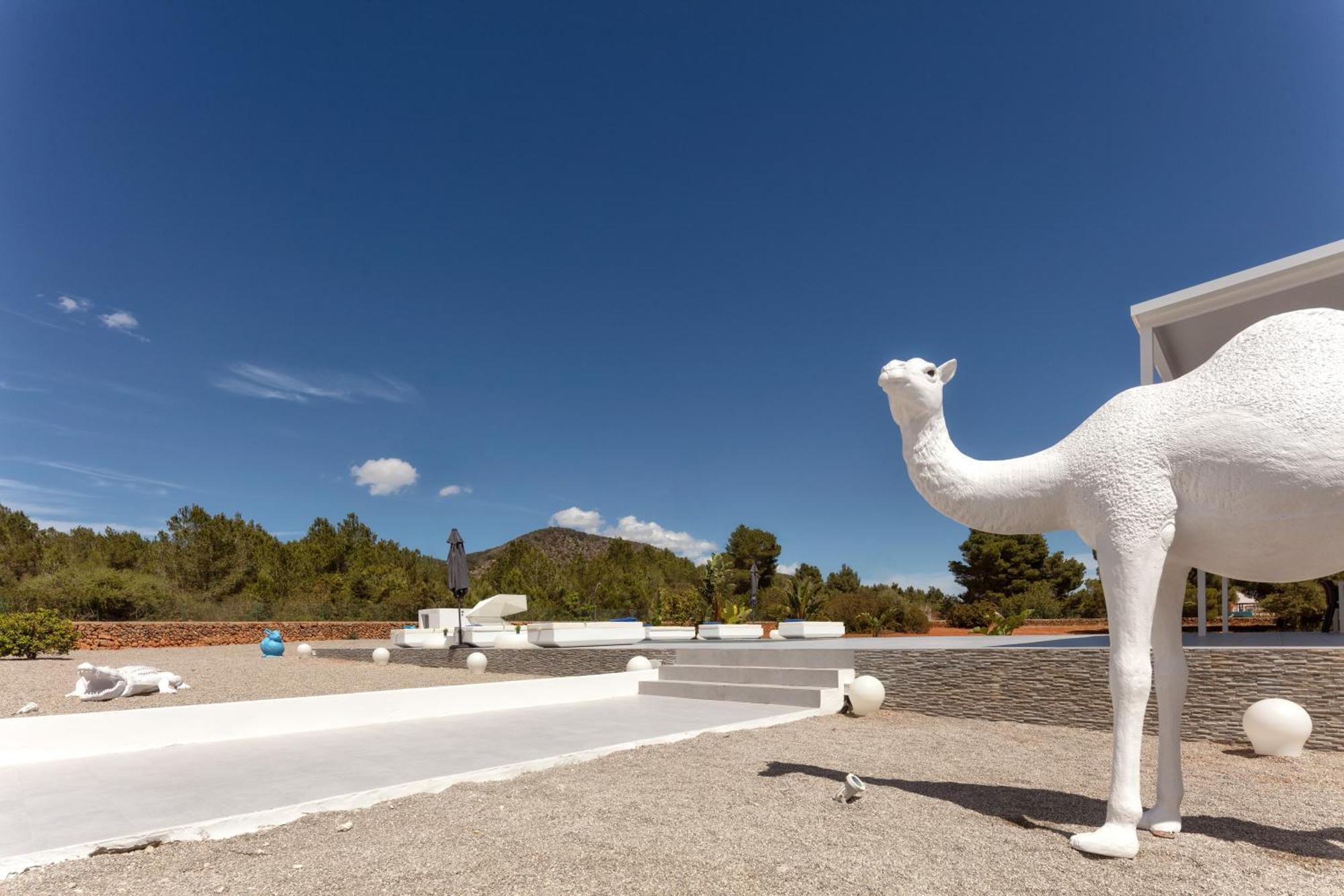 Villa Boutique Can Plana Sant Jordi de ses Salines Zewnętrze zdjęcie